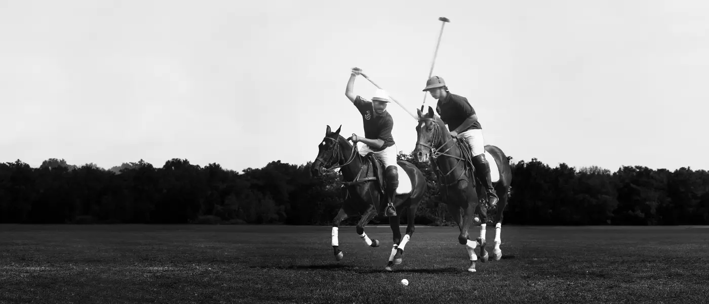 polo-image